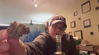 Aurora Cannabis Unboxing #1