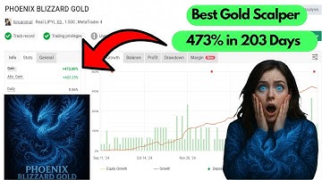 Phoenix Blizzard EA: 473.80% with a Gold Scalper