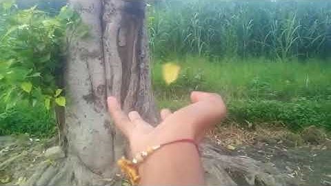 Telekinesis Moving Heavy Objects