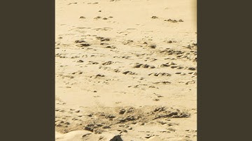 Taripero Text Messages Sent to No One