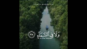 أرح سمعك تلاوه هاديه تريح القلب والعقل بصوت طارق محمد #حالات_واتس_اب