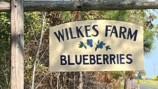Wilkes Family Farm