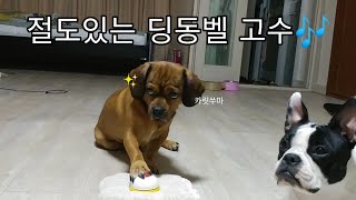 딩동벨도 남다르게 치는 뭉이! | 절도있는 리듬게임♥