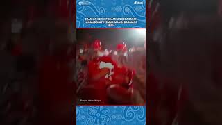 Damkar Kotim Padamkan Kebakaran Lahan Dekat Permukiman di Baamang Hulu