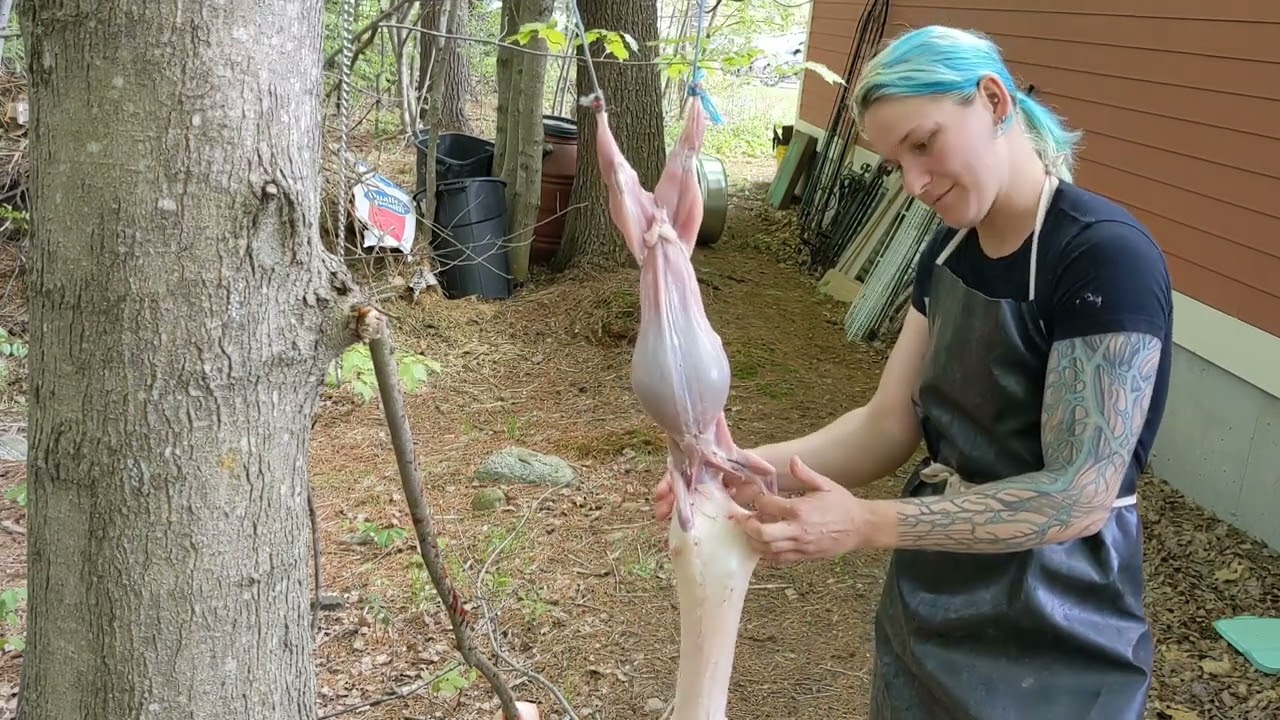 How to Dispatch and Skin a Rabbit: Choke Chain Method