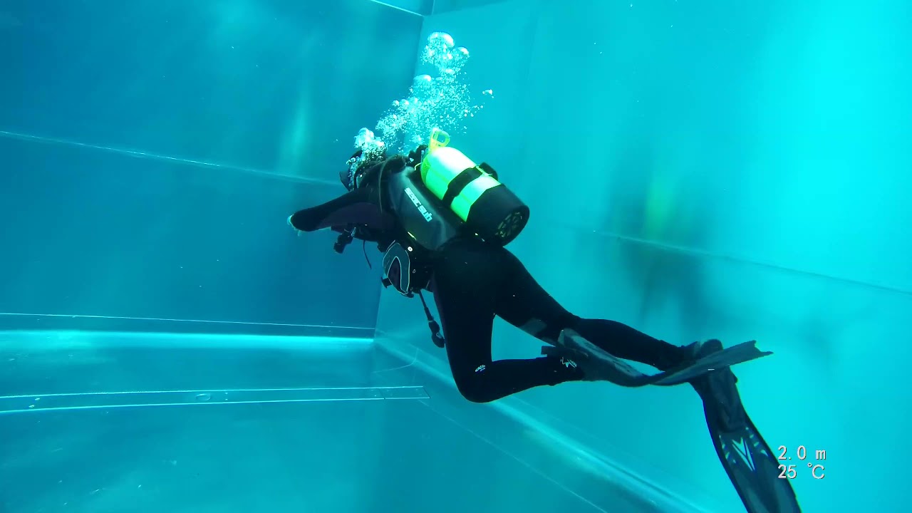 Der Weg zum Taucher. Tauchtraining von Silke