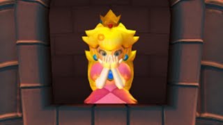 New Super Mario Bros. U - Final Castle