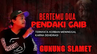 BERTEMU DUA PENDAKI GAIB!KORBAN DEHIDRASI- Cerita Horor GUNUNG SLAMET