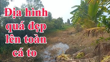 #Câu cá rô đồng,cá thác lác. Địa hình này sao chịu nổi. #SangHuynhVlog.