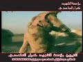 مثلك محد لا لا محد قصيده صدريه روووعه للواء اليوم الموعود نسخه اصليه بدقه واضحه mp3