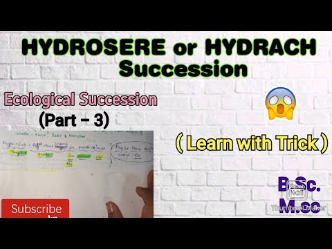 Video: Mis on Hydrach?