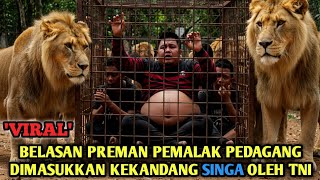 Download Lagu VIRAL ‼️ BELASAN PREMAN PEMALAK PEDAGANG DIMASUKKAN KEKANDANG SINGA OLEH TNI MP3 Download Lagu VIRAL ‼️ BELASAN PREMAN PEMALAK PEDAGANG DIMASUKKAN KEKANDANG SINGA OLEH TNI MP3