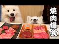 1歳の誕生日に焼肉食べ放題行ったら爆食してくれました!
