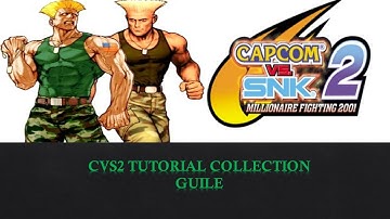 CVS2 Tutorial Collection : Guile