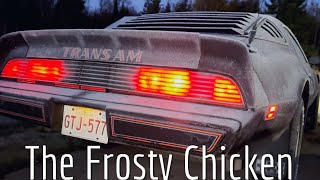 Pontiac Trans Am Cold Start! by Higho Stable Garage 1,765 views 7 months ago 1 minute, 24 seconds