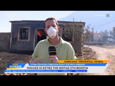 Πολλές οι εστίες