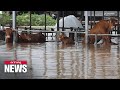 Nationwide damage brought by Typhoon Khanun in S. Korea