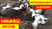 ДЕРЕВНЯ_57. Жизнь в Деревне.