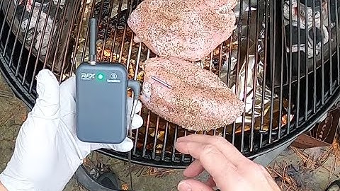 First Cook with the Thermoworks RFX Wireless