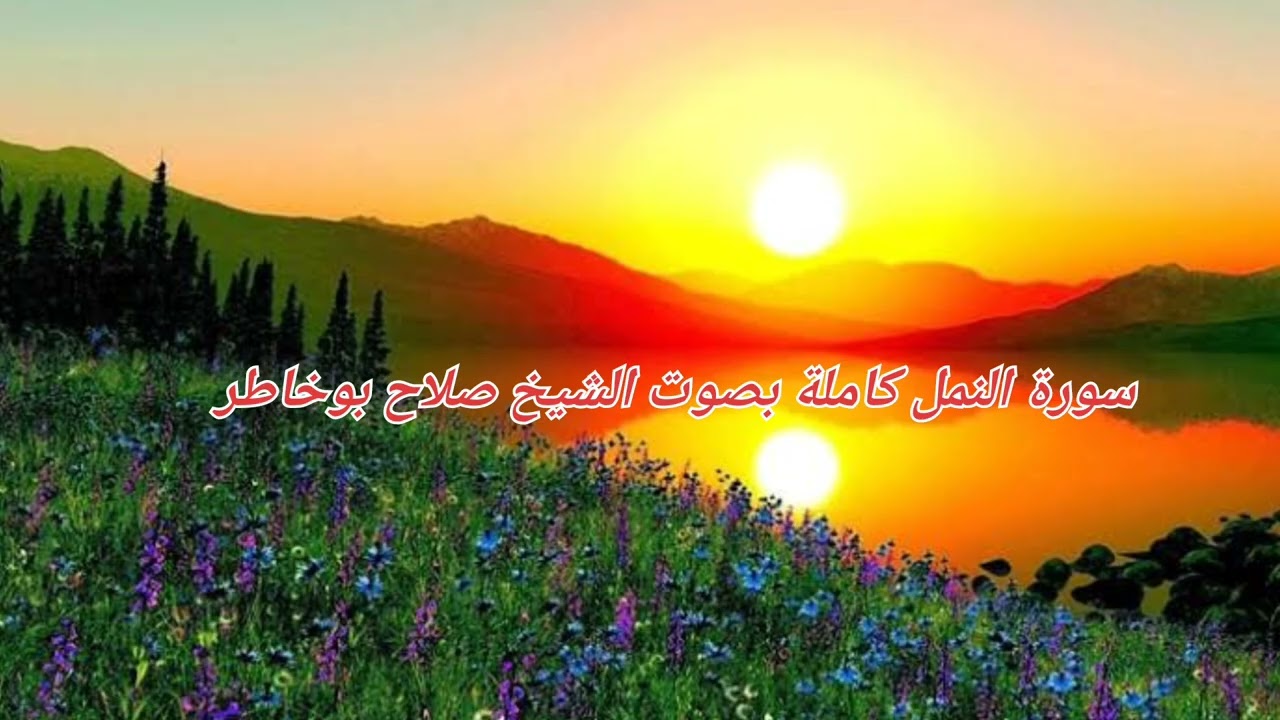 سورة النمل كاملة بصوت الشيخ صلاح بوخاطر 