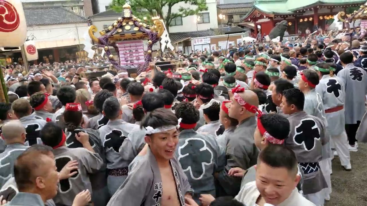 2024.05.19 浅草三社祭 宮出し1  丸金
