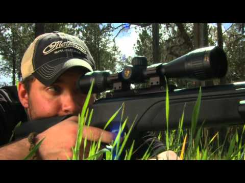 Airgun Shooting Practice