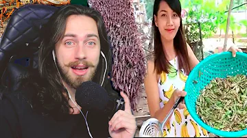 Como enfrentar a nuvem de gafanhotos?