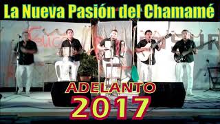 Miniatura de vídeo de "LA NUEVA PASION DEL CHAMAME 2017 ADELANTO Sofia"