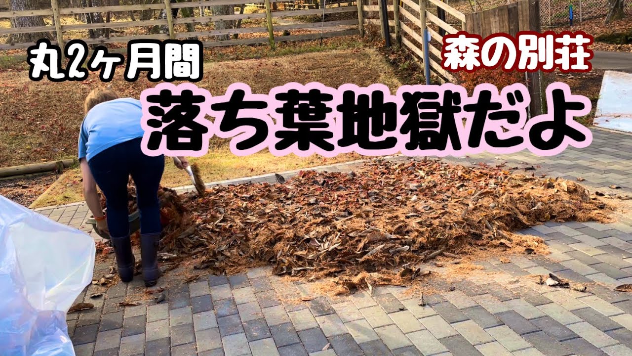 Vacation Home #29] It's been two whole months of fallen leaf hell