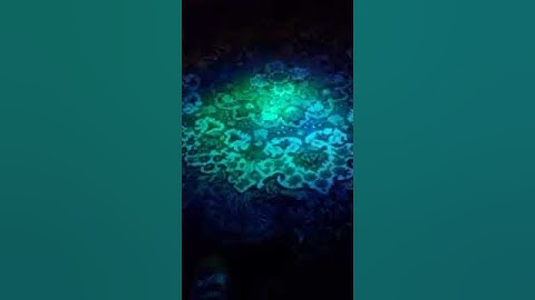 video 0 02 05 3W RGB LED Spotlight - gearbest.com