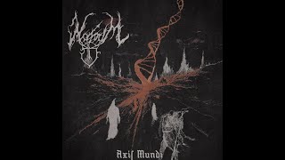 Mavorim - Wo kriegergleiche Kräfte walten