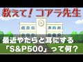 新NISAでよく聞くS&amp;P500って何？投資初心者にもわかるよう簡単に解説します！