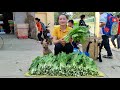 Harvest green vegetables to go to the market to sell | Take care of pets | Ly Thi Tam