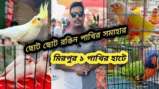 ছোট ছোট রঙিন পাখির সমাহার | @ShakilandPets |#mirpur_1_birds_market #mirpur_pakhir_hat #birds #bird
