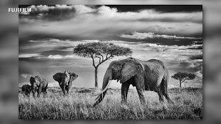 GFX100: 'Wildlife in Africa' x Peter Delaney/ FUJIFILM