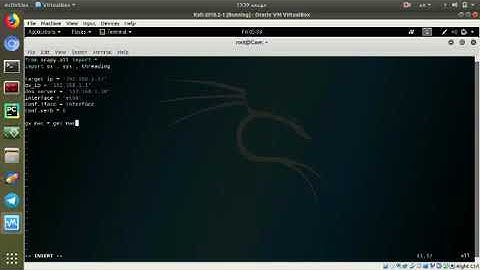 DNS Redirection with Scapy - Packet manipulation and Sniffing