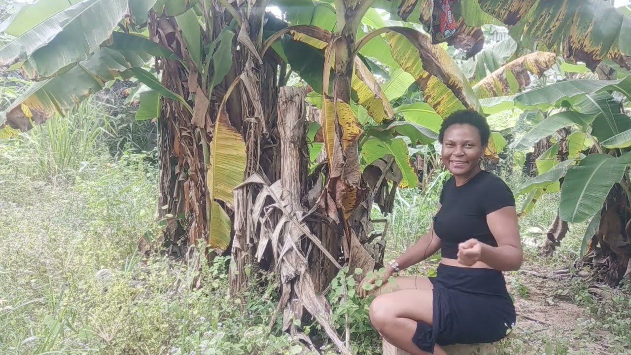 Le secret à connaître sur le pouvoir des feuilles mortes