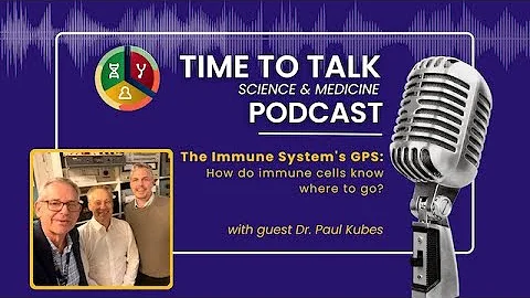 The Immune Systems GPS: How do immune cells know where to go?