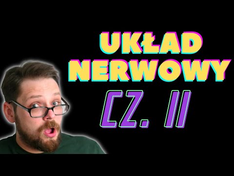 Układ nerwowy 2 Rdzeń kręgowy i Obwodowy układ nerwowy. Druga część opowieści o układzie nerwowym!