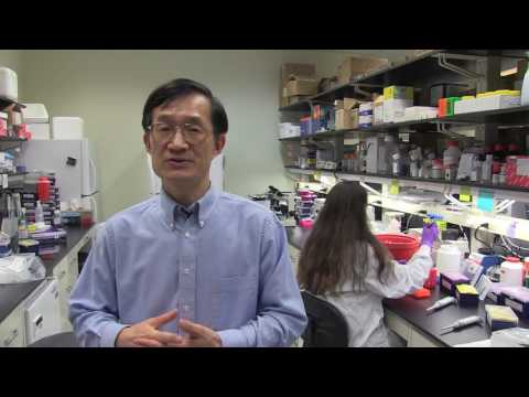 Modeling Alcohol Abuse and Liver Disease – Bin Gao, NIH IRP