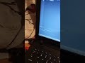 input python