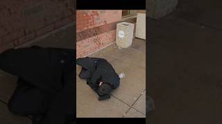 SCB Bagel Boss! 🥯😭 #boxing #boxeo #boxingtraining #boxer #boxinglife