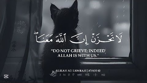 نصف ساعة كاملة 🎧🕛 تلاوة خاشعة تقشعر لها الأبدان 🥺💔 أرح سمعك... صوت جميل 😊💕