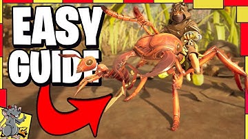 GROUNDED 2 Best And Easy Guide To Get A Ant Soldier BUGGY!