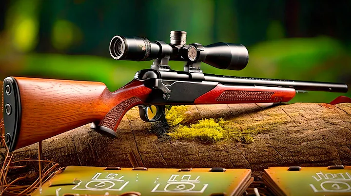.22 LR Rifles | The Surprising Truths and Facts  NO ONE Tells You