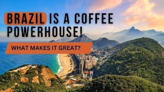 A Coffee Origin a Week - The Godfather of Coffee.