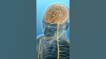 #Autism | How Genetics Play A Role In Autism #Neurodisease #Healthcare