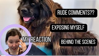 Spilling the Tea on my Most Popular Video! | HUGE Newfie Groom by Paws and Relax 357 views 11 months ago 17 minutes