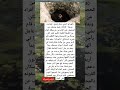 بابوراو تاجني رجل هندي تعر ضت زوجة لإهانة علنية وم نع ت من الحصول على الماء غرائب عجائب بابوراو تاجني رجل هندي تعر ضت زوجة لإهانة علنية وم نع ت من الحصول على الماء غرائب عجائب
