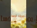 محمد حماقي لمون نعناع 
